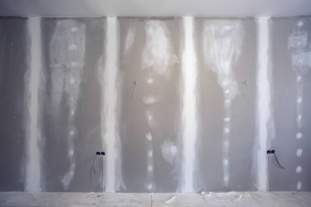 Best Ceiling Drywall Installation  in Allendale, MI